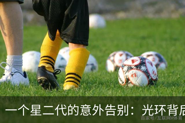 一个星二代的意外告别：光环背后的挣扎与年华
