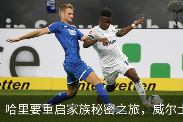哈里要重启家族秘密之旅，威尔士王储怒火中烧！