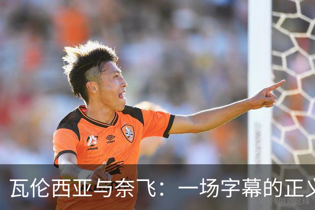 瓦伦西亚与奈飞：一场字幕的正义之战！