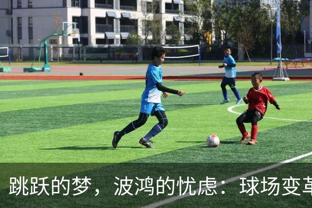 跳跃的梦，波鸿的忧虑：球场变革的“禁令